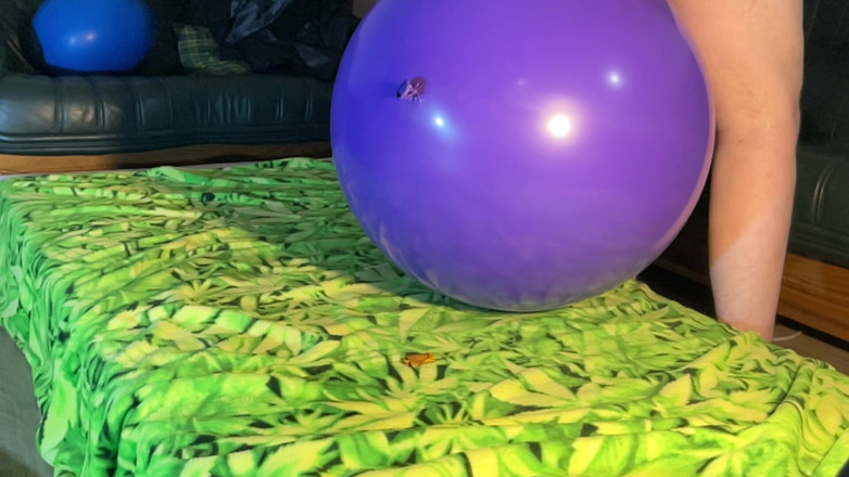 BeachBallsDuo: (cr-2) 16 величезні 60-100 см дуже товсті повітряні кулі розчавлені дупами! 2 ракурси на камеру з slowmo!