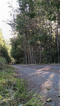 Scooter Rider Outdoor Masturbation
