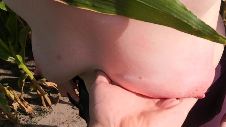 Bouncy Tits Action: Poplácání a mačkání mých koz v kukuřičném poli