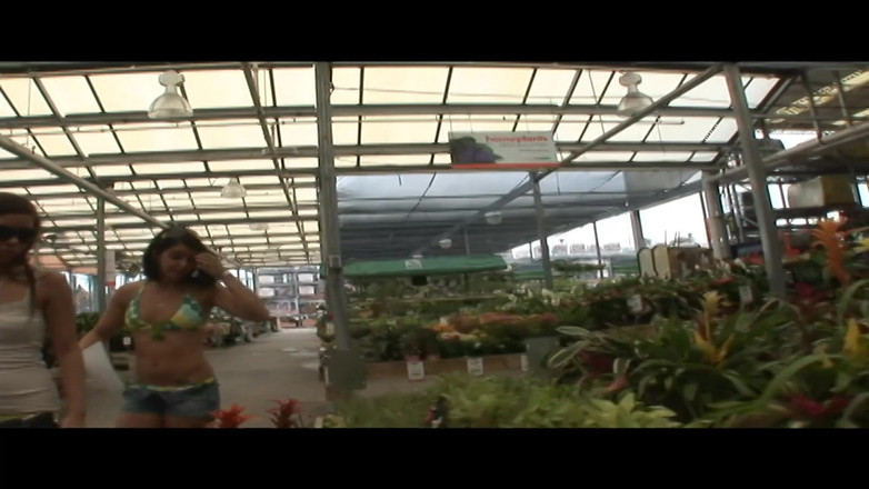 Dream Girls: ワイルドで面白く、非常にリスクの高い公共のヌード