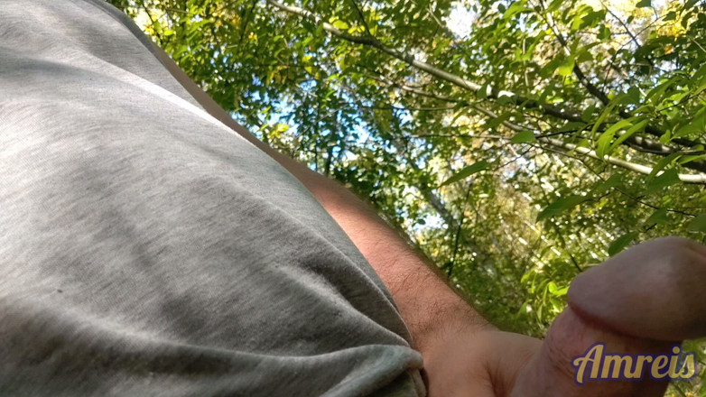 Amreis: Jerking off in the Woods Near the Highway. I Almost...