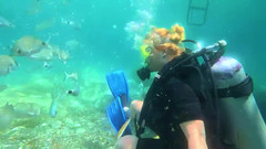 JessieHH: Türkiye'de tüplü dalış! Serbest