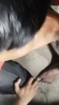 Boy Sucking Friends Dick Blowjob Video