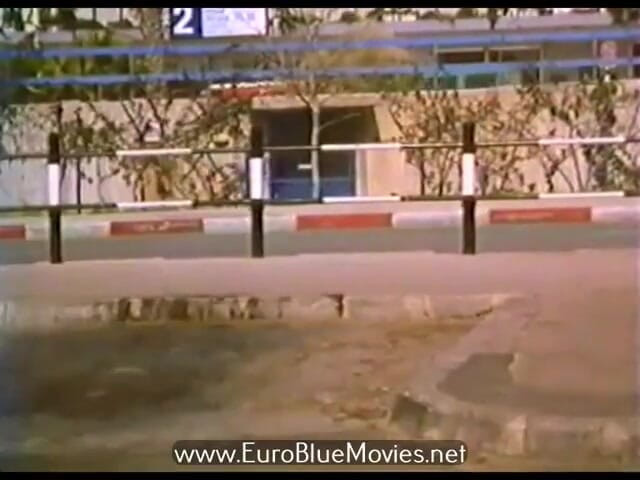 BluePlayer: 顺从教育 （1985）