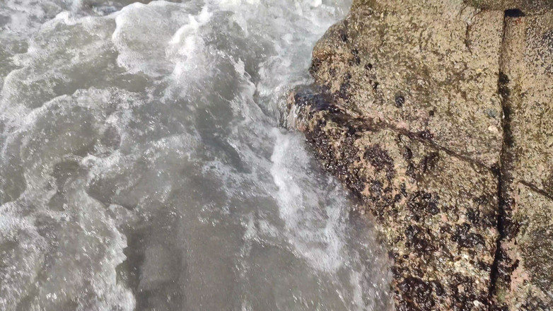 LiL Latin Goddess: Blooper Terbuka Lautan Phootshot