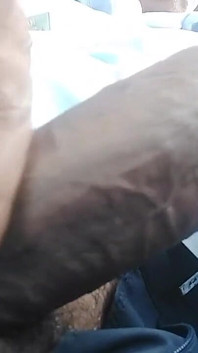 Number 1 Indian Cock
