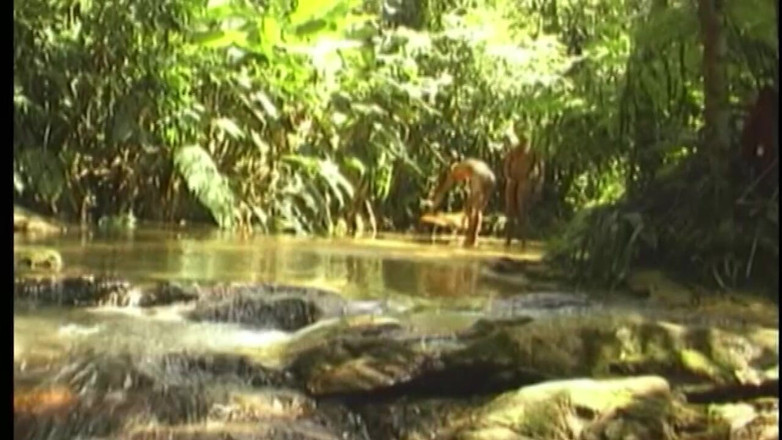 Boys boyz: Jungle anale rek - rijpe hengsten beuken diep