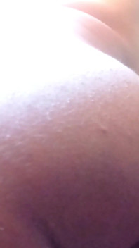 Sponge