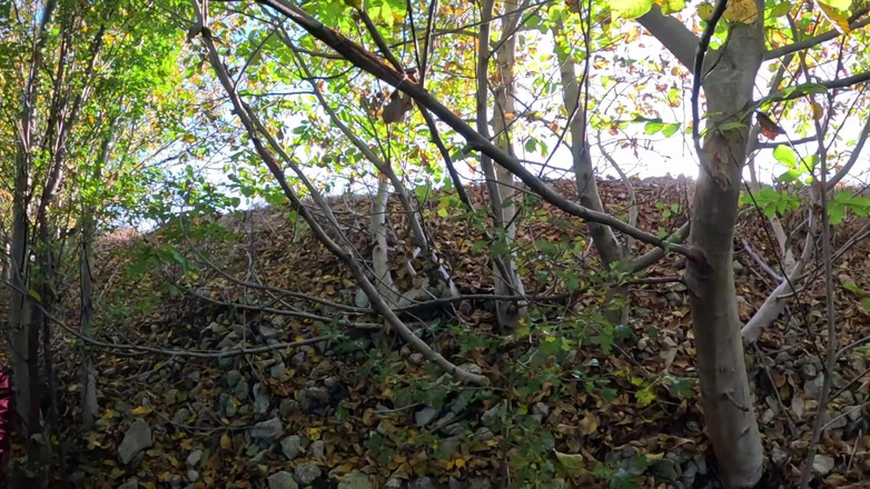 MilfyCalla: Riskantní venkovní kouření u jezera Red Shiny Downjacket Fetish 316