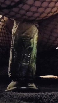 Goth Fishnets Dildo futai pizdă amatoare masturbare alt