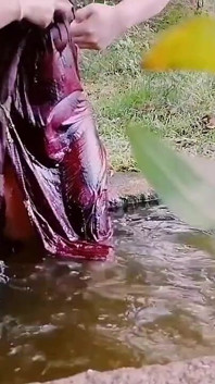 Im freien ist Desi Tante nackt und verrückt fingern im wasser