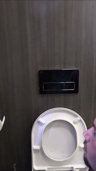 Flushing the toilet pervert