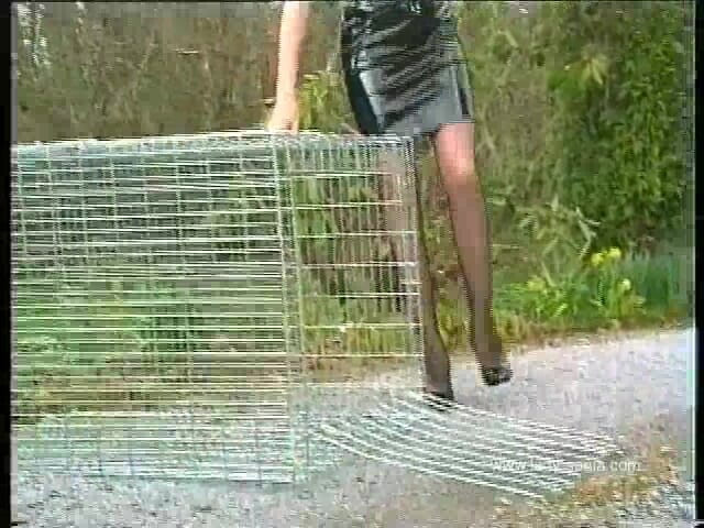 Lady Sonia: A Gaiola