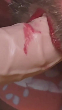 Huge Dildo Deep in My Ass and My Mouth with Slow Cum