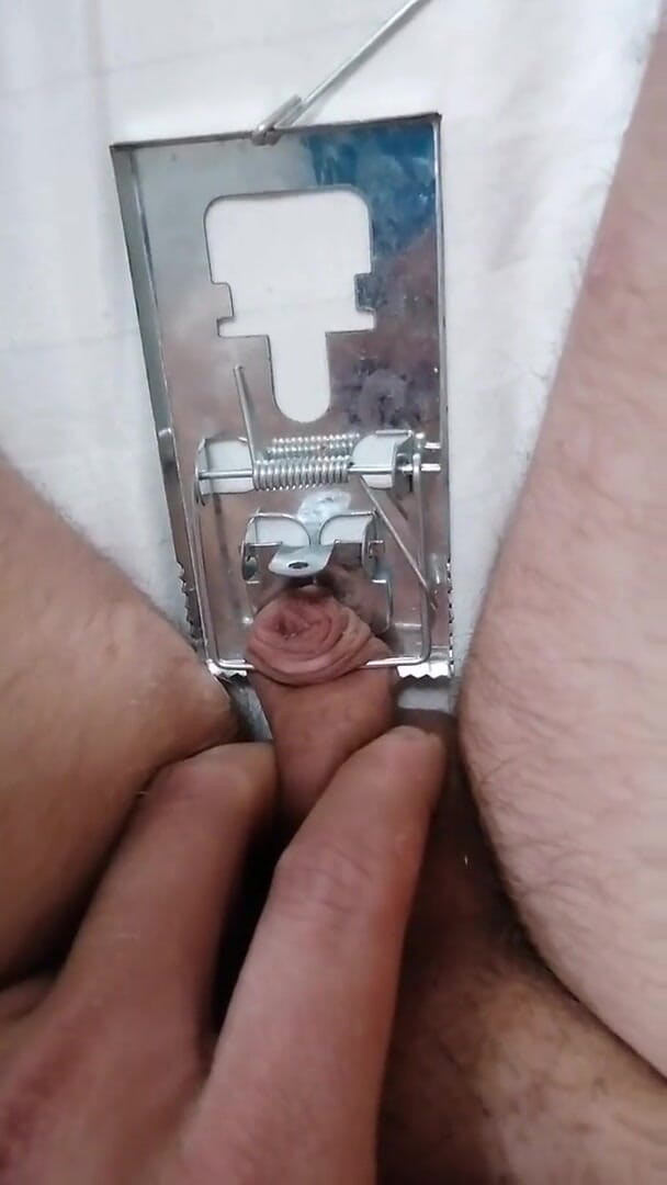 Adashah: Micropenis - capcană de șoricel BDSM cu pulă și coaie și pulă și coaie