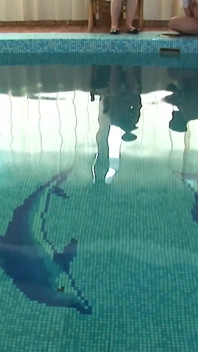 Divoká Zralá Orgie U Bazénu Se Spoustou Chlupatých Starých Žen