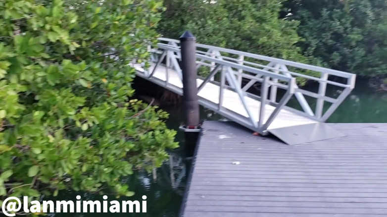 Lanmi Miami: Step-siblings got caught outdoor