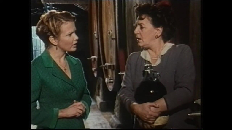 Vintage megastore: Secret Vintage Affairs