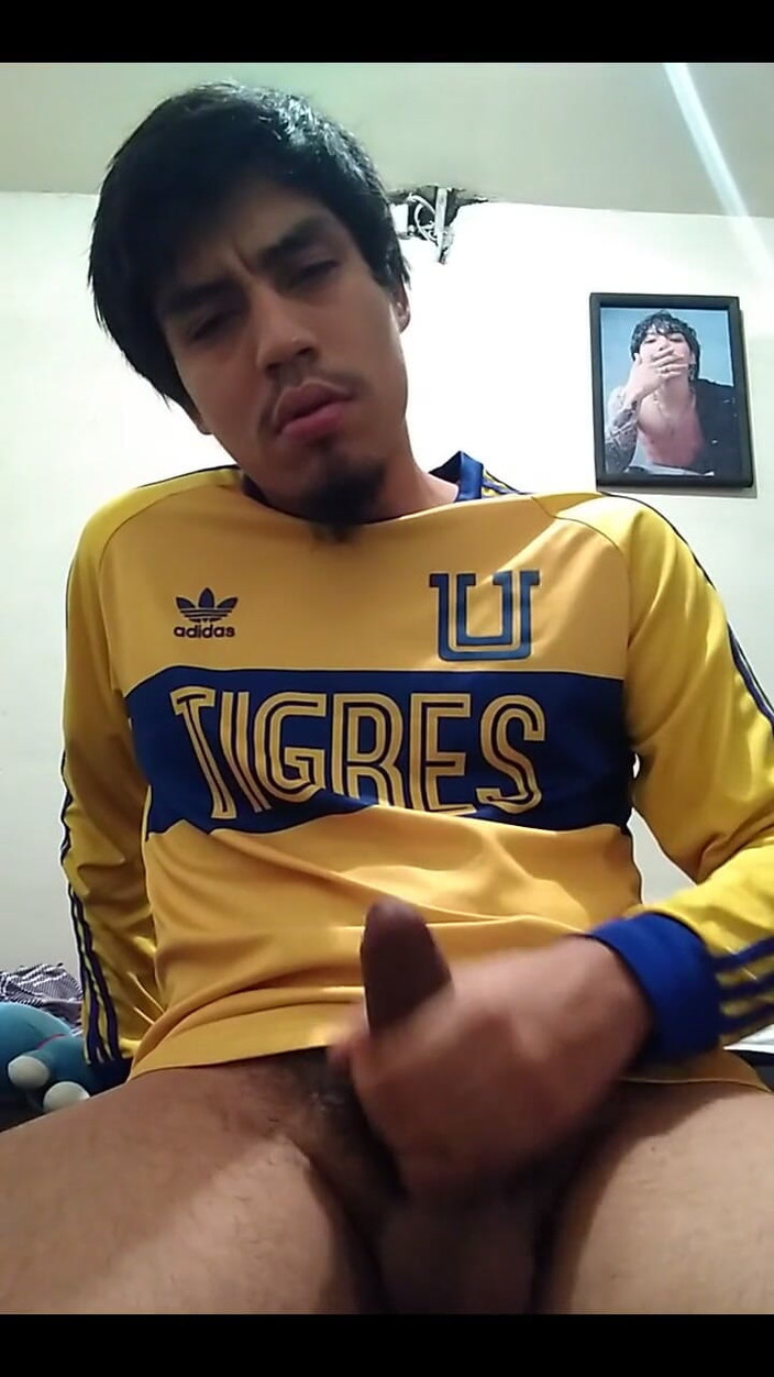 AlexAlejandro13: Andiamo Tigri, sto tornando ricco.