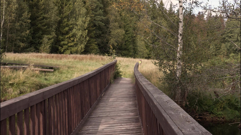 Murkovski: A Walk in Nature, I Fucked My Brunette Girlfriend on...