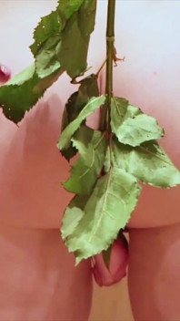Het roze