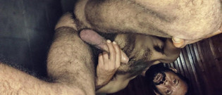 Rock F hairy: Peloso, maschio barbuto