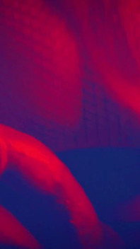 Szczęśliwa dziewczyna Sophia Rose - Red Light Special Amazing POV Blowjob