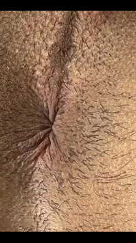 Do You Like My Ass?