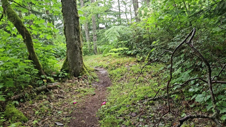 Nerdy_faery: Tree Piss with Female Urination Device