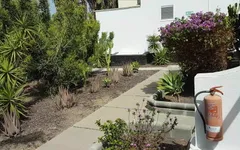 Gran Canaria - urlaub sperma zum Frühstück