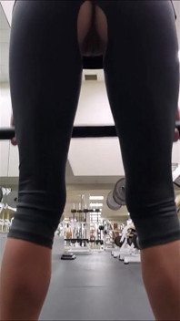 Chatte de gym