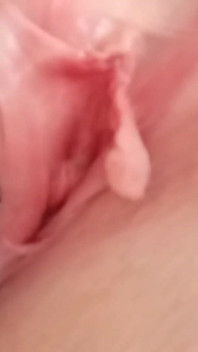 スイート・プッシー