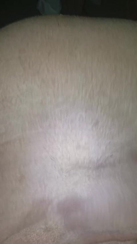 Africatrans: Azgın Tgirl Çiftler Sert Sikişiyor.