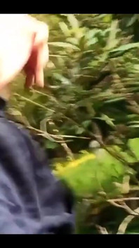 Stepdaddy pissing with his hot cock