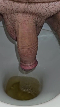 Male Peeing Into the Toilet