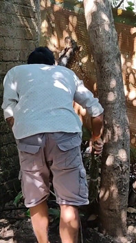 Three College Boys Enjoy Sex in the Woods Behind the House