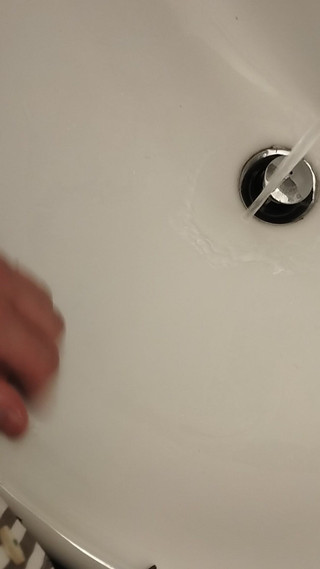 Bayer911: Vid 20240822