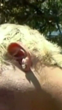 Vintage Porn with Twink Fucking Bareback