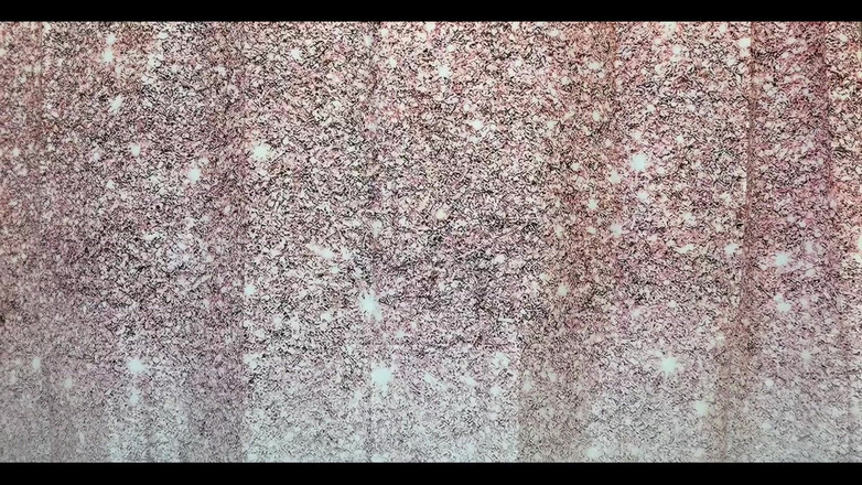 TonyFontana: Was bij een vriend logeren