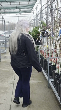 Plant Shopping