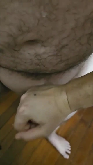 Bellaboo: Couple Compilation