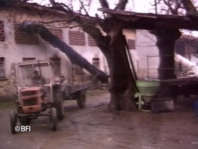 Naughty by nature in Holland: Farmers appetite 1
