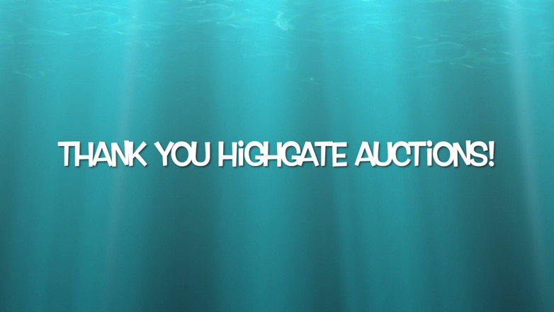 Aaexperiencesltd: A Massive Thank You!
