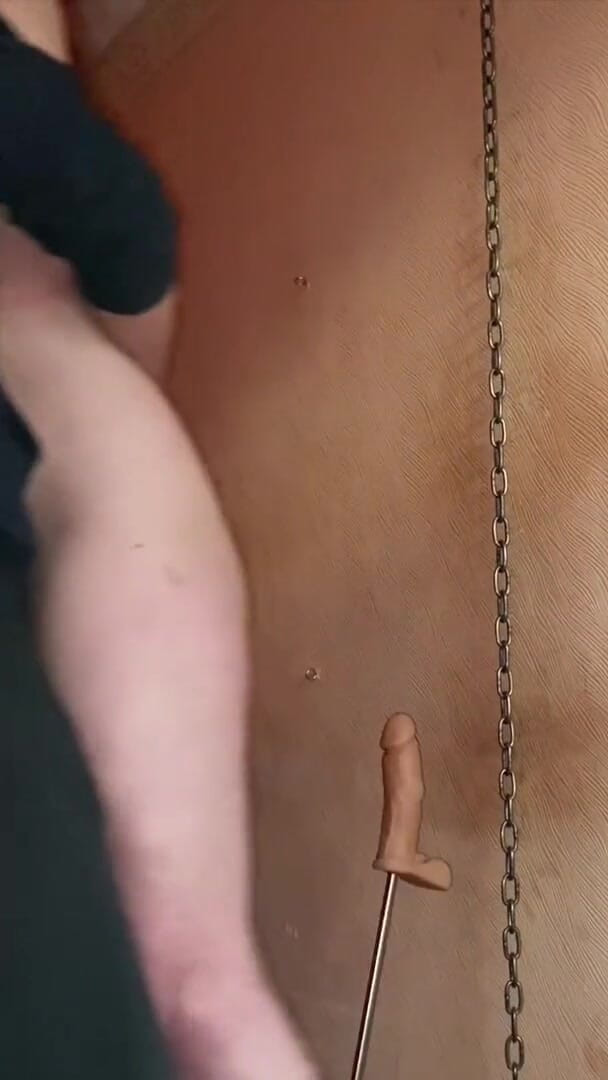 Elena917: joi după-amiază 2 - am încercat să rămânem drăguți fără să plesnim - nici...