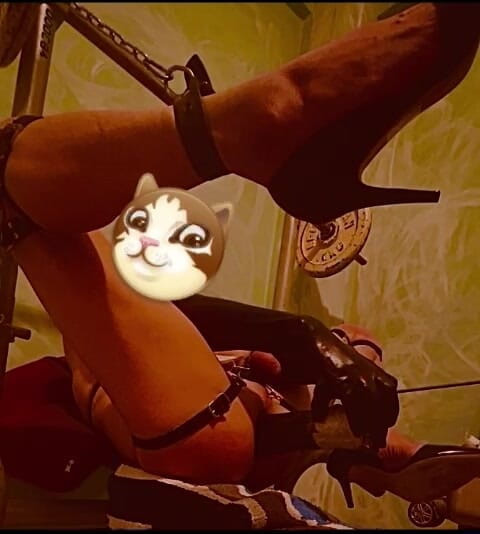 Analguy: 애널 섹스