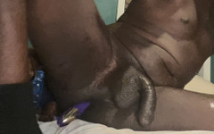 Taylor studio: Latte