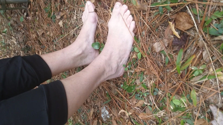 Just Me and My Feet Out in the Yard and Not in the Street Shufflin on Leaves and Crunchin on Sticks Feels Good Play with (Legsistance)