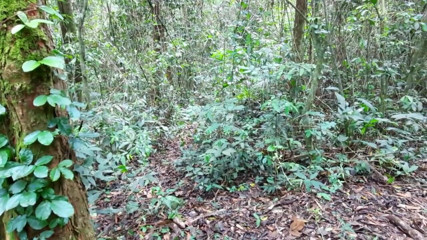 Novinha Insaciavel: Pelacur jalang ini lagi asik nyepong kontol dan pantat