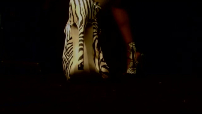 The Goddess Simone: Zebra seksi sepatu hak tinggi