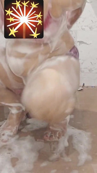 Priya bhabi spettacolo al bagno caldo
